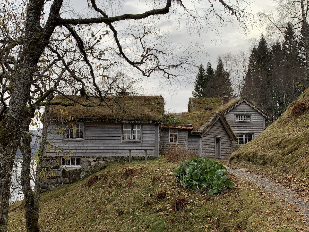 Det er høst i tunet, men Astrups rabarbra står fremdeles grønn.