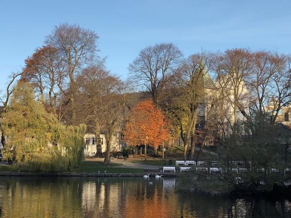 Konsgård, Bispekapellet og Domkirken innhyllet (og skjult) i parkens trær